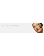 Pensule si portfarduri